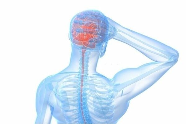 Connection Between Pain And Your Brain