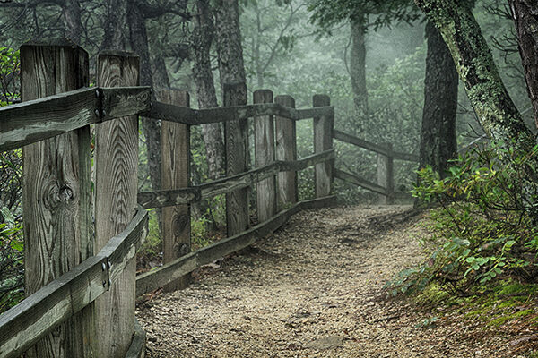 Living with Pain: Goals Matter