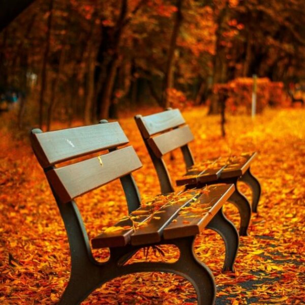 Letting Others Down: Living with Lupus