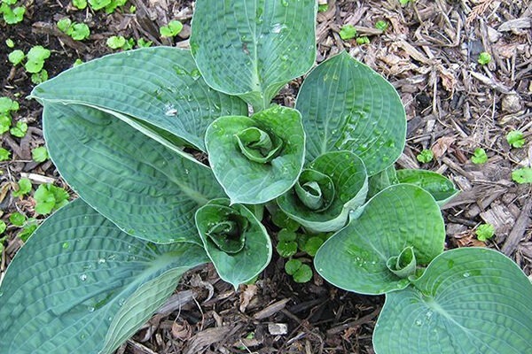 Five Ways to Improve Your Self-Efficacy