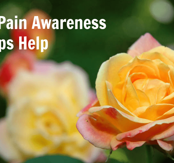 Spotlight on 3 Valuable Pain Awareness Groups