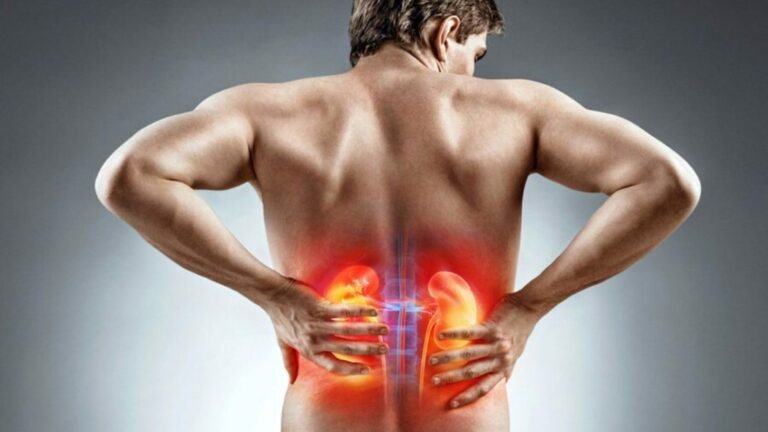 Kidney Pain: Causes, Symptoms, Diagnosis, And Treatments