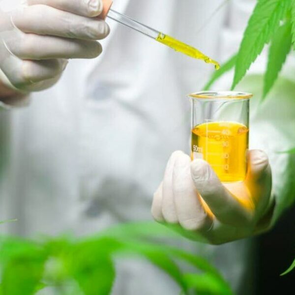 How Long Does Delta 8 Stay In Your System?