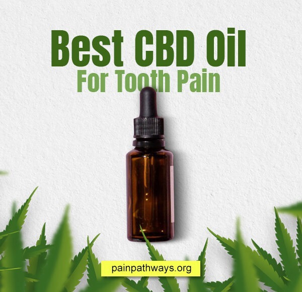 Best CBD Oil For Tooth Pain – Top 4 Brands Of 2023!