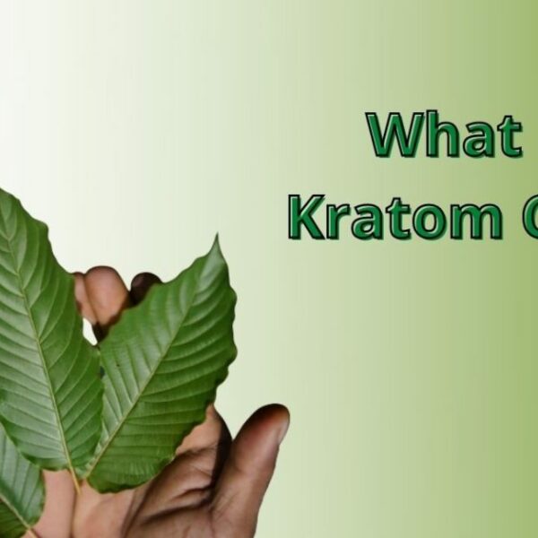 What is Kratom CBD A Complete Guide