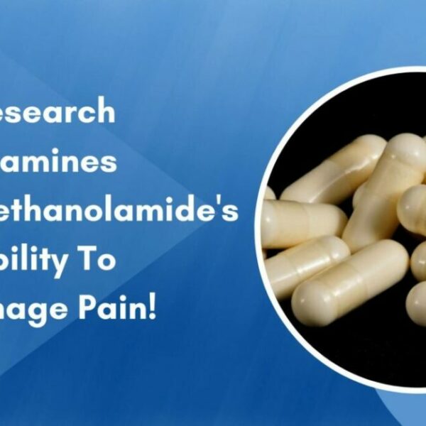 Research Examines Palmitoylethanolamide’s Ability To Manage Pain!