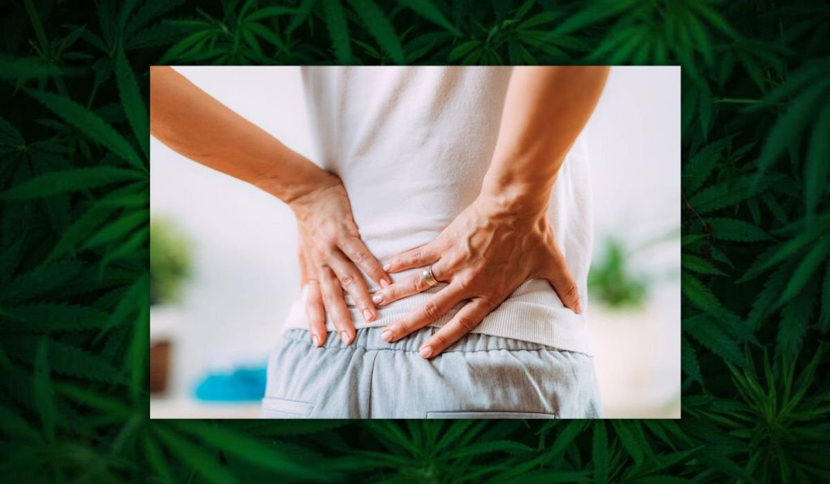 Cannabis For Back Pain