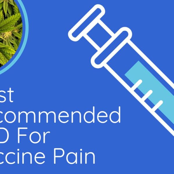 Most Recommended CBD For Vaccine Pain