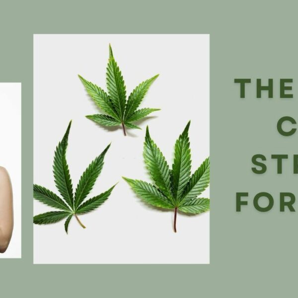 What Is The Best CBD Strain For Pain