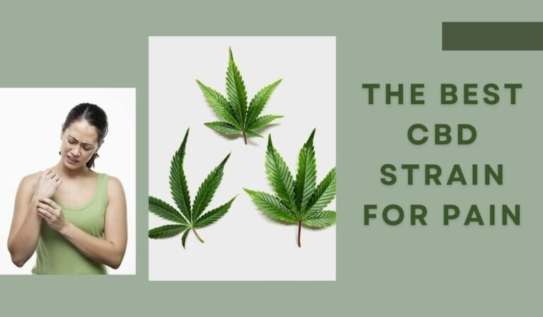 What Is The Best CBD Strain For Pain: Select From The Top Rated 5