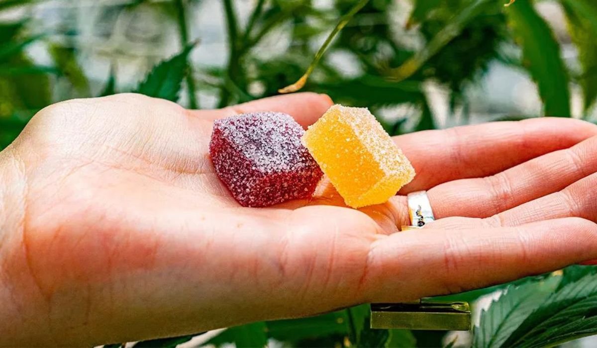 How And When Should You Take CBD Gummies