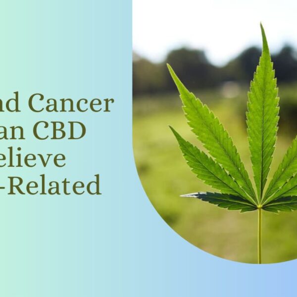 CBD And Cancer Pain Can CBD Help Relieve Cancer-Related Pain
