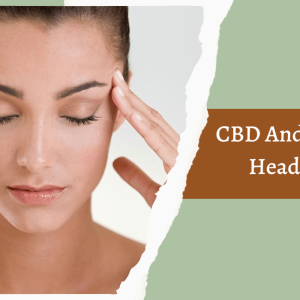 CBD And Chronic Headaches – Tips For Managing Chronic Headaches In Daily Life!
