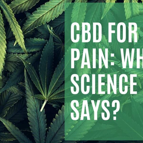 CBD For Back Pain: What Science Says?