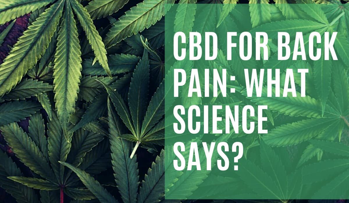 CBD For Back Pain What Science Says