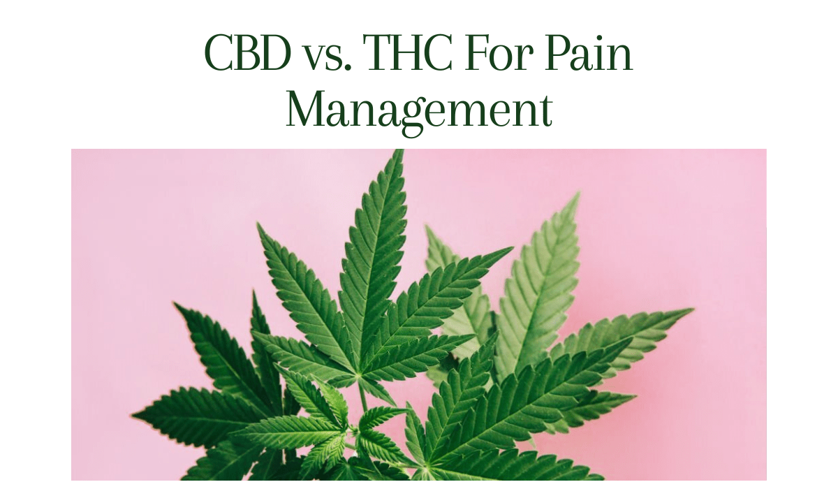 CBD vs. THC For Pain Management