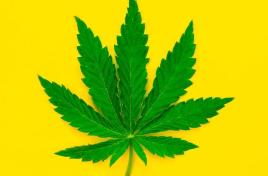 Can CBD Help People Manage Chronic Pain?