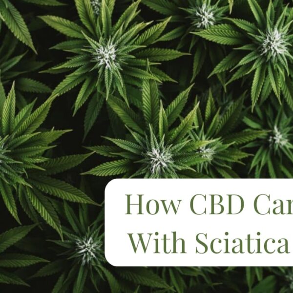How CBD Can Help With Sciatica Pain?