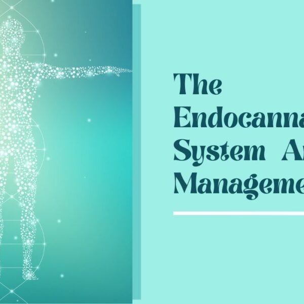 The Endocannabinoid System And Pain Management