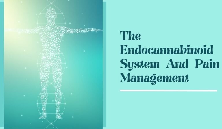 The Endocannabinoid System And Pain Management: An Overview!