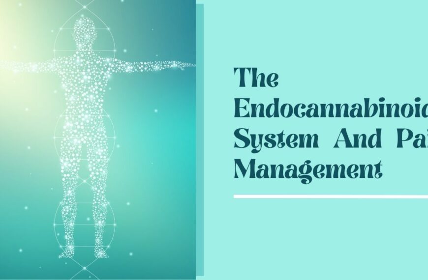 The Endocannabinoid System And Pain Management: An Overview!