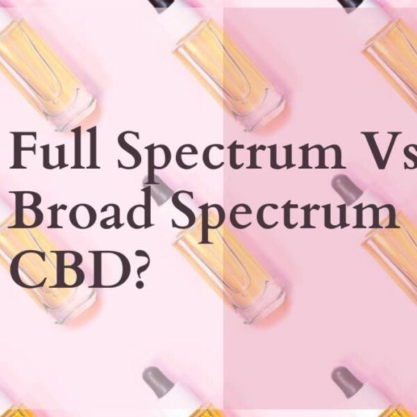 What Is The Difference Between Full Spectrum And Broad Spectrum CBD?