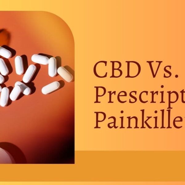 CBD Vs. Prescription Painkillers – Which Is The Right Choice?