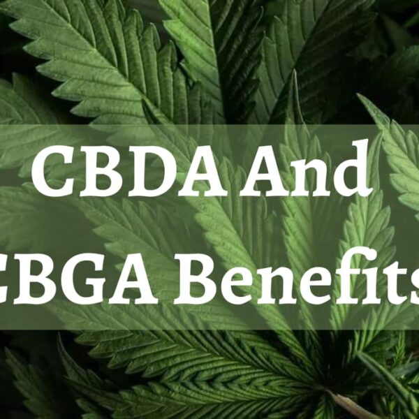 CBDA And CBGA Benefits – A Comprehensive Guide To The Benefits Of Cannabinoids
