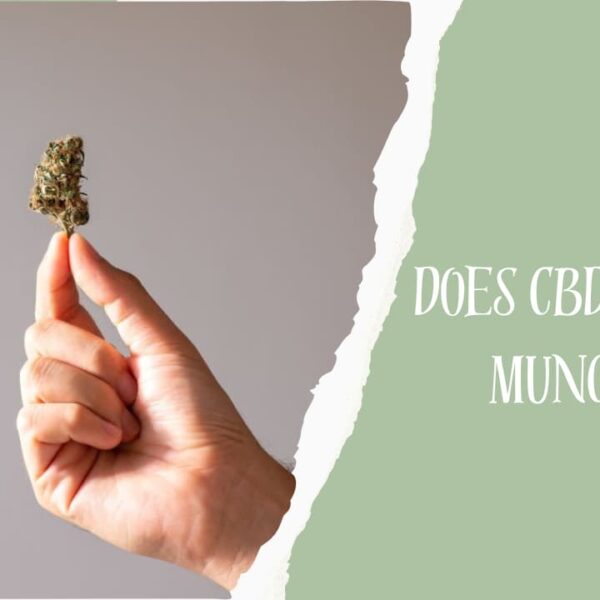 Does CBD Give You Munchies? | CBD And Food Cravings