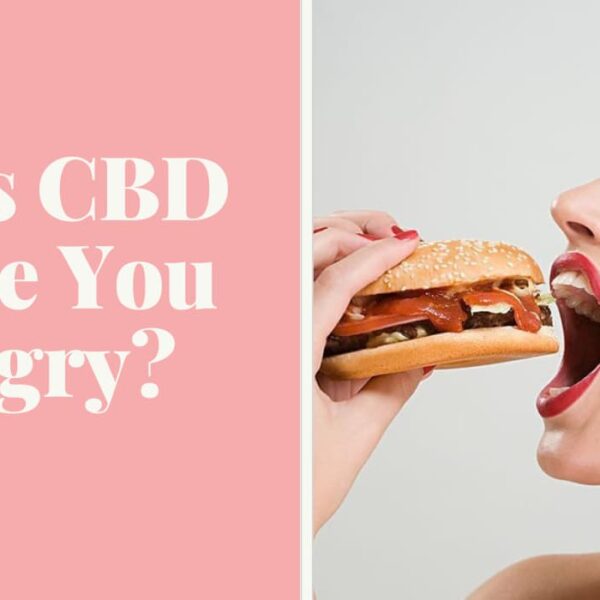 Does CBD Make You Hungry