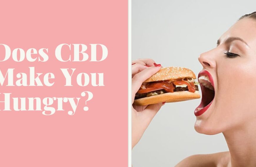 Does CBD Make You Hungry? | Things To Know About!
