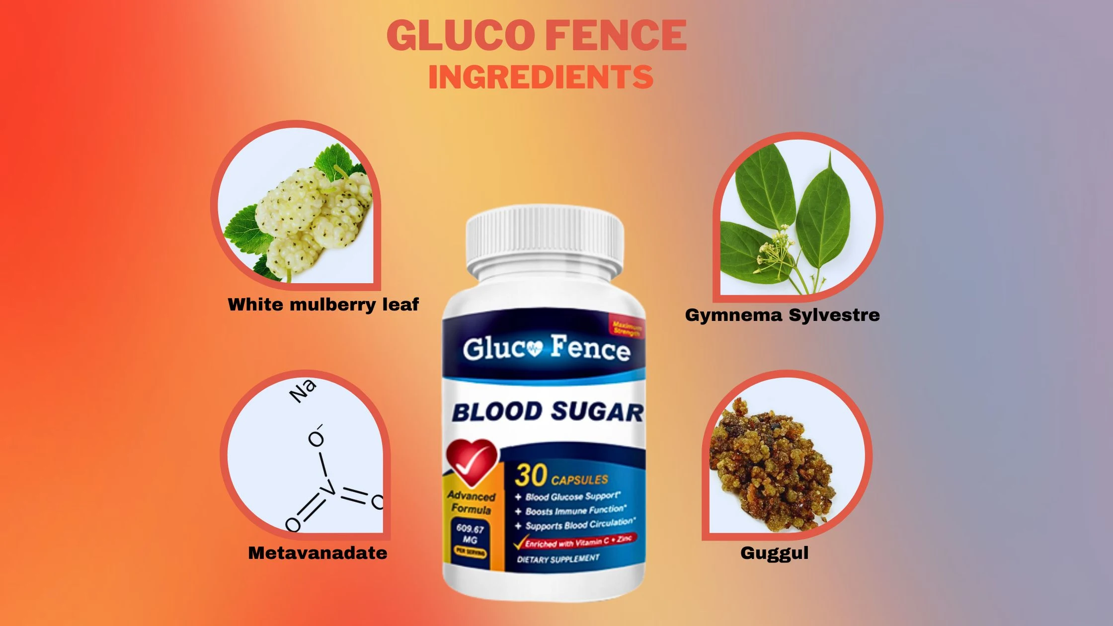 Gluco Fence  ingredients