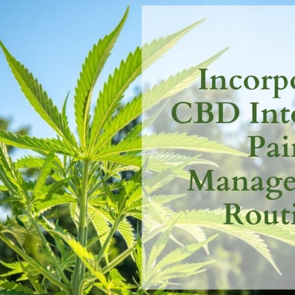 How To Incorporate CBD Into Your Pain Management Routine?