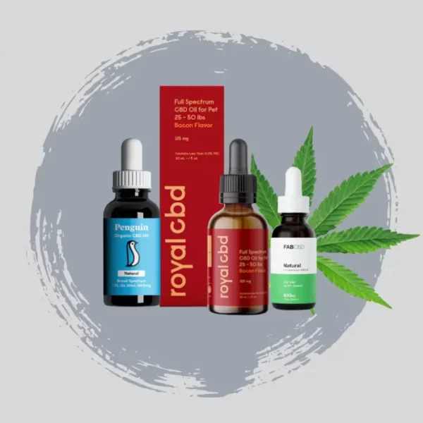 Most Recommended CBD Oils In 2023 That Really Work