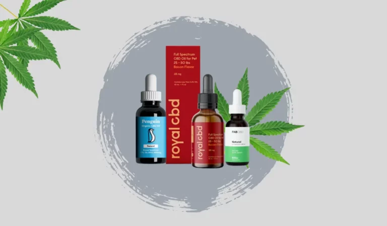 Most Recommended CBD Oils In 2023 That Really Work
