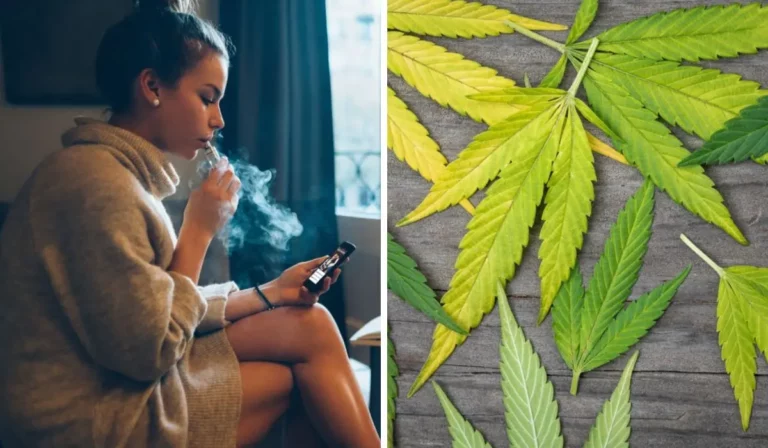 Electronic Cigarettes vs. Vape CBD: Which One Is Better To Use?