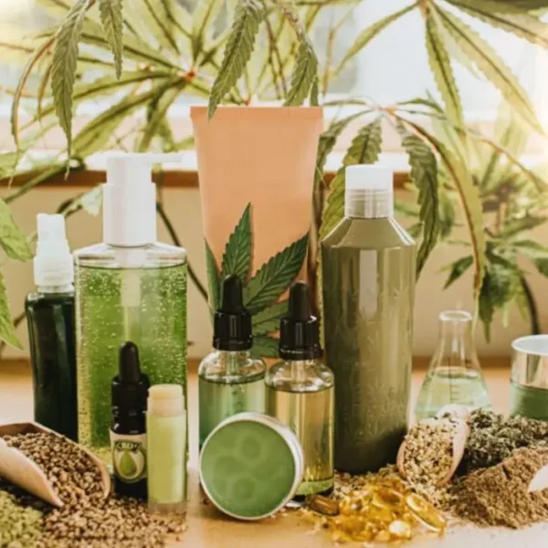 Pros And Cons Of CBD Oil For Pain – Is There Any Side Effects?