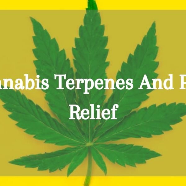 Cannabis Terpenes And Pain Relief – The Natural Path To Pain Relief!