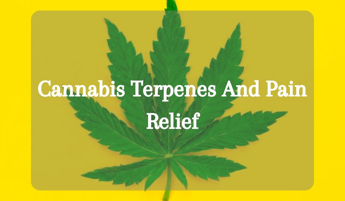 Cannabis Terpenes And Pain Relief